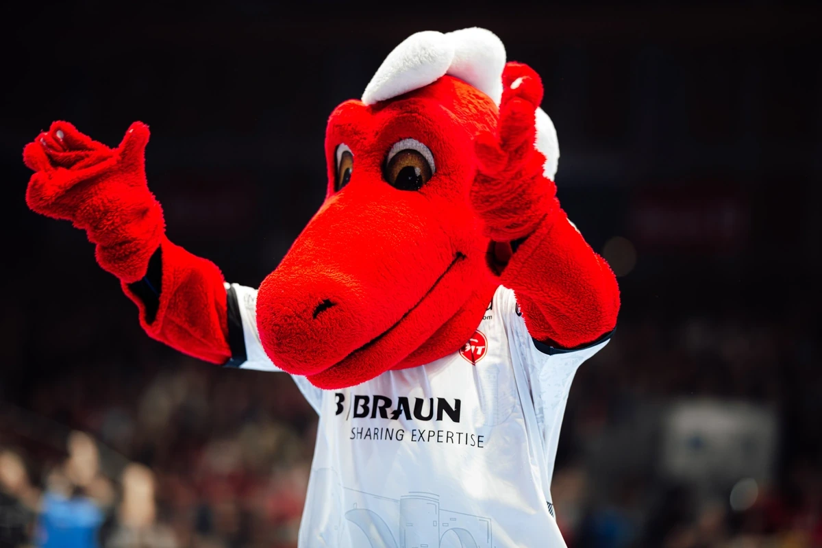 MT Melsungen – handball match scene